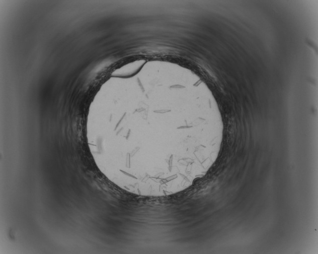 X0000096961016200803071046