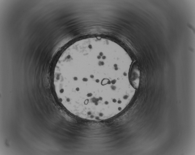 X0000096961018200803071046