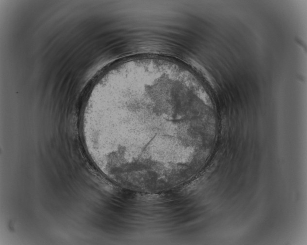 X0000096961019200803071046