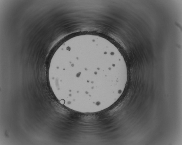 X0000096961021200803071046