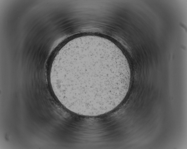 X0000096961022200803071046