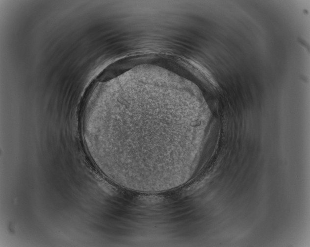 X0000096961023200803071046