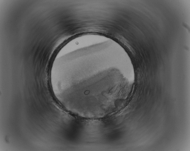 X0000096961024200803071046