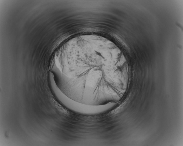 X0000096961025200803071046