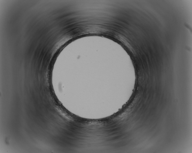 X0000096961026200803071046