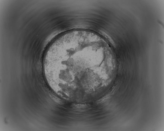 X0000096961027200803071046