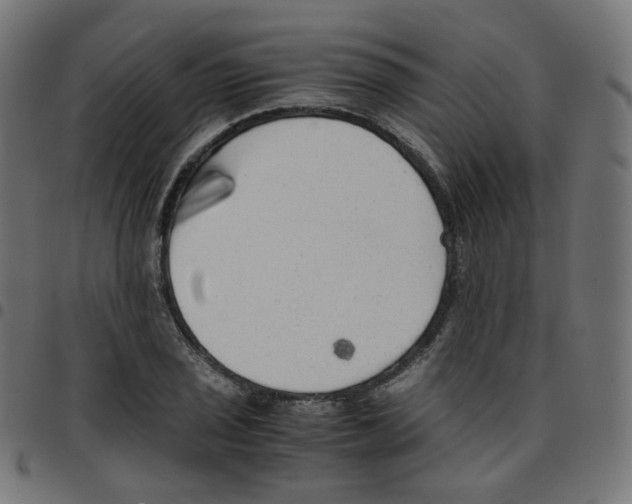 X0000096961029200803071046