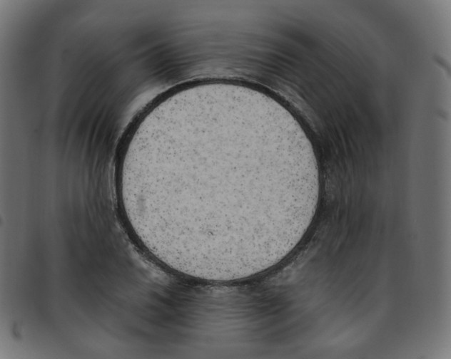 X0000096961030200803071046