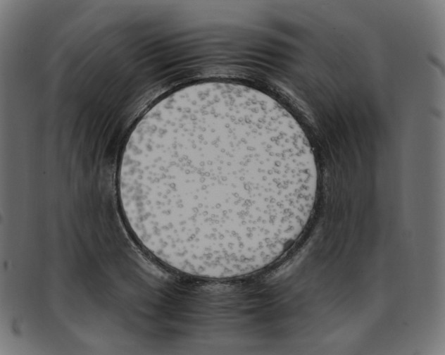 X0000096961033200803071046