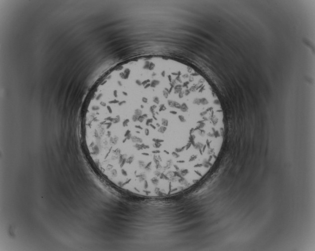 X0000096961034200803071046