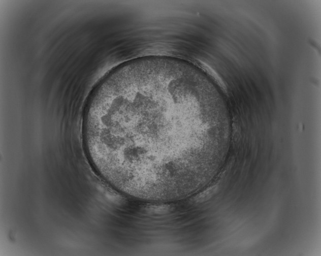 X0000096961035200803071046