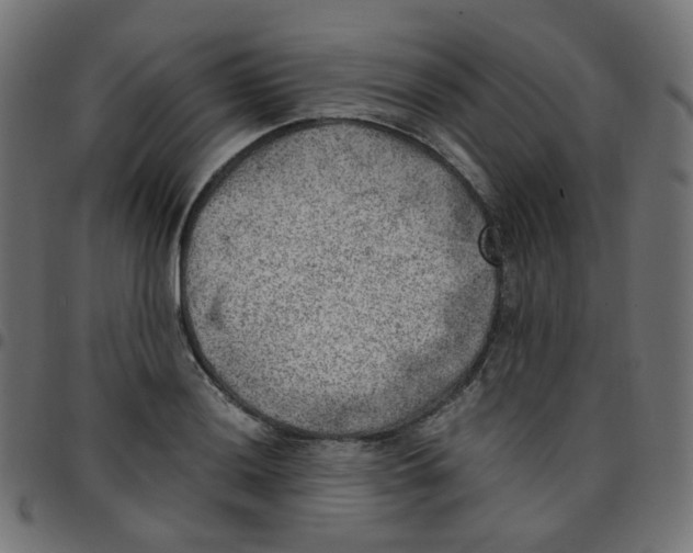 X0000096961036200803071046