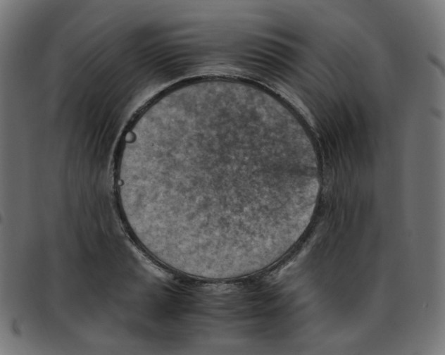 X0000096961037200803071046