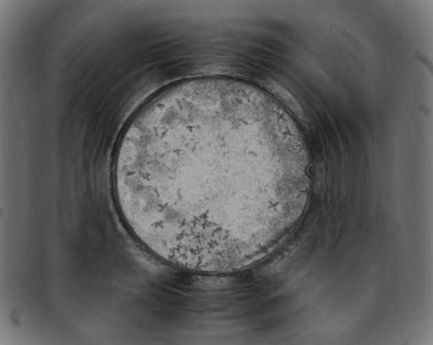 X0000096961039200803071046