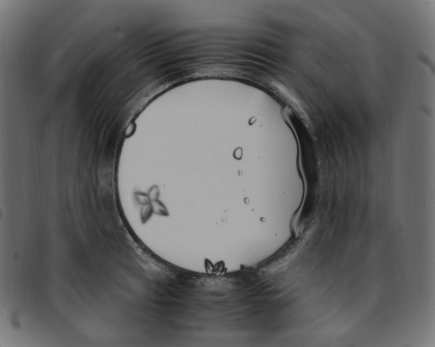 X0000096961041200803071046