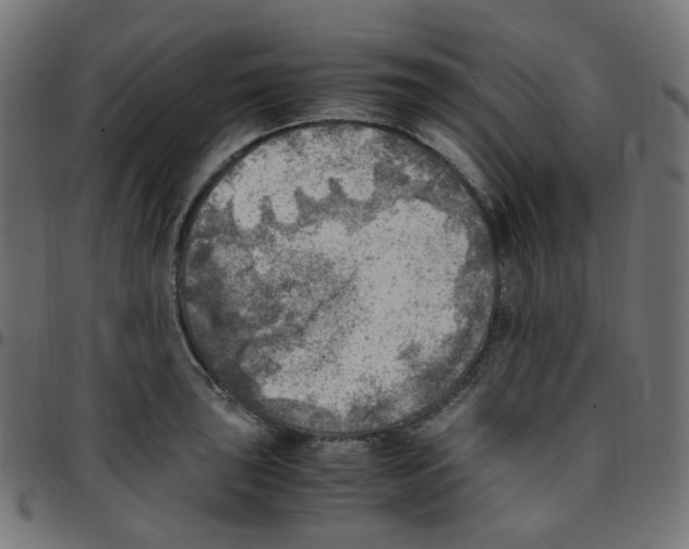 X0000096961043200803071046