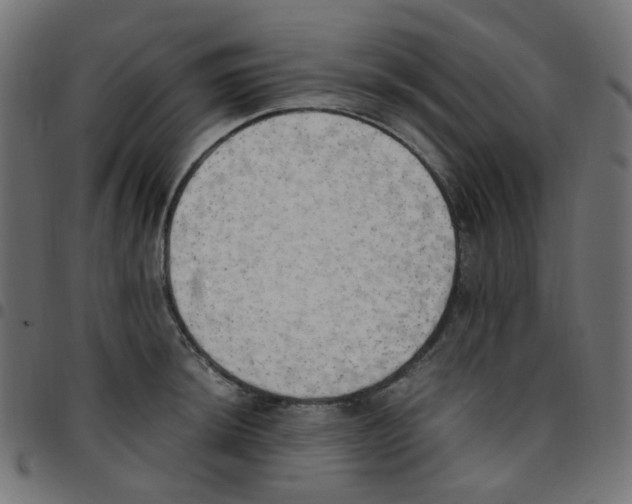 X0000096961044200803071046