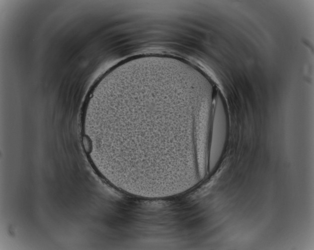 X0000096961045200803071046