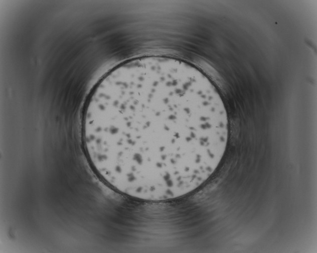 X0000096961046200803071046