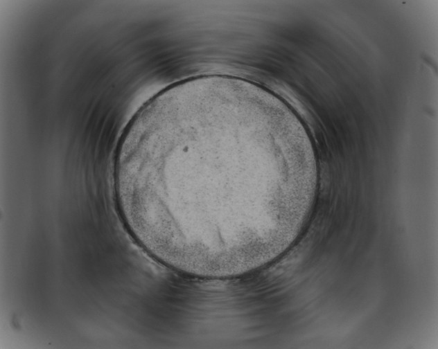 X0000096961048200803071046