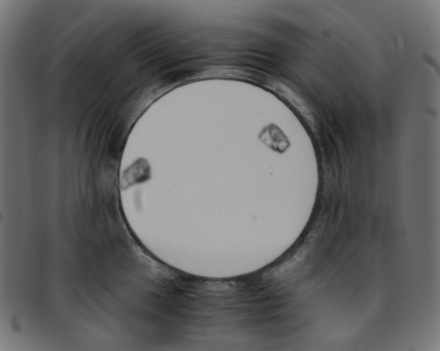 X0000096961049200803071046