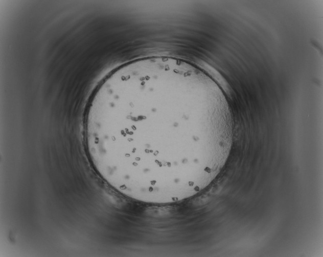 X0000096961051200803071046