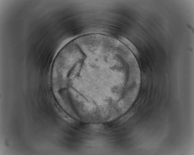 X0000096961052200803071047