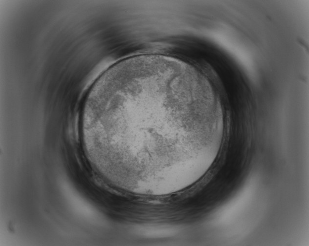 X0000096961054200803071047