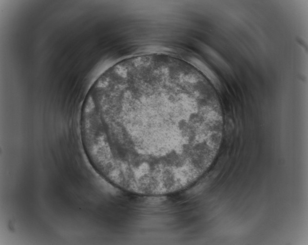 X0000096961055200803071047