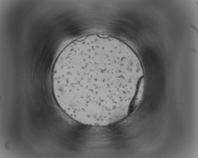 X0000096961056200803071047