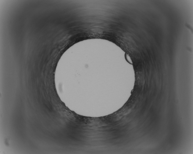 X0000096961057200803071046