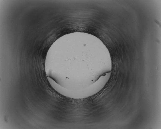 X0000096961058200803071046