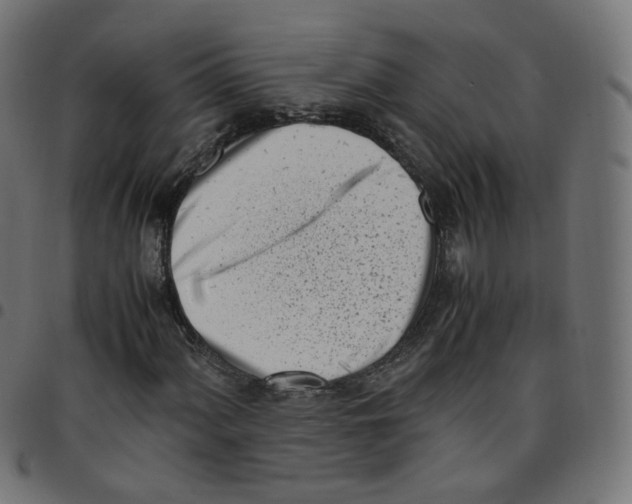 X0000096961060200803071046