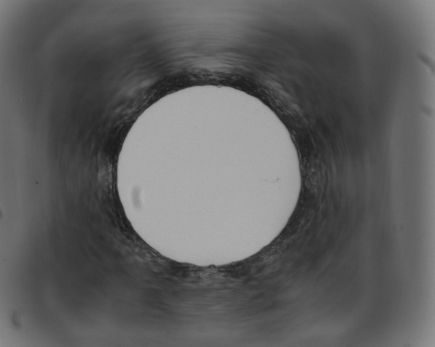 X0000096961061200803071046