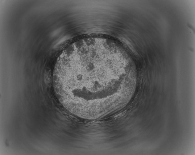 X0000096961063200803071046