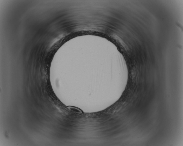 X0000096961064200803071046