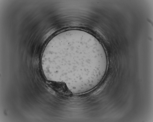 X0000096961065200803071046