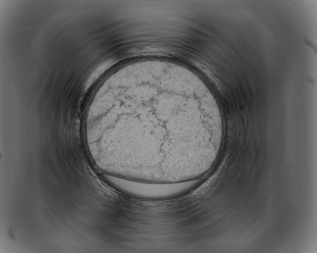 X0000096961066200803071046