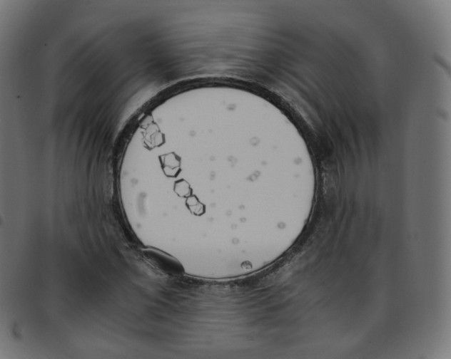 X0000096961069200803071046