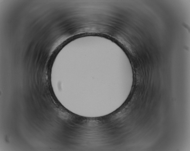 X0000096961070200803071046