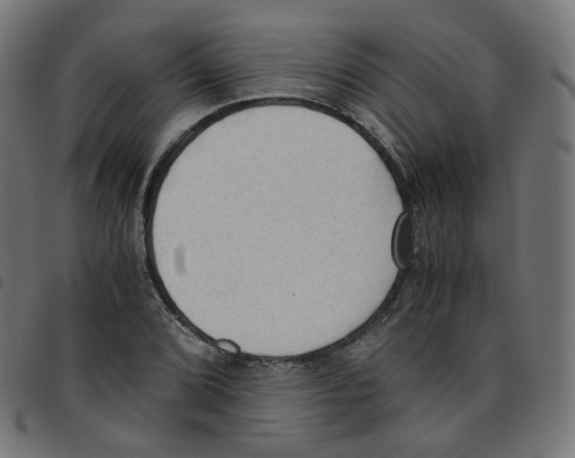 X0000096961072200803071046