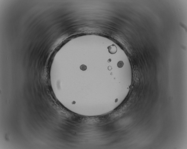 X0000096961074200803071046