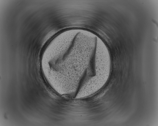 X0000096961077200803071046