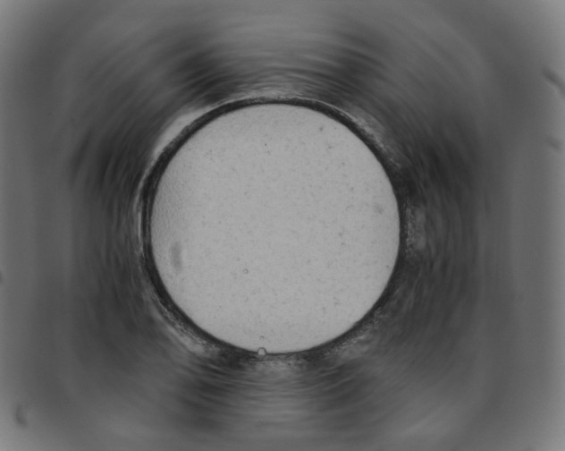 X0000096961078200803071046