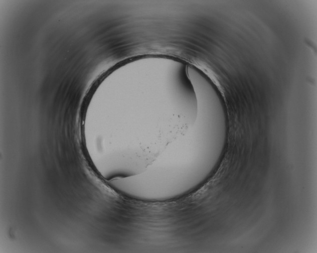 X0000096961080200803071046