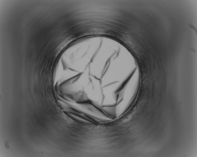 X0000096961081200803071046