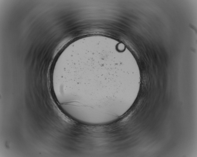 X0000096961082200803071046