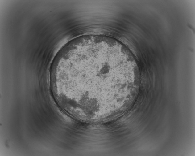 X0000096961083200803071046