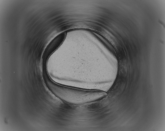 X0000096961084200803071046