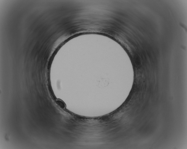 X0000096961085200803071046